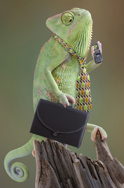 business-chameleon-sm.jpg